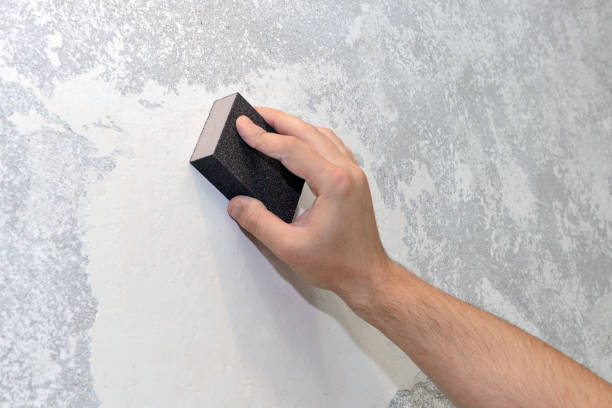 Best Mold Prevention Services  in Goodhue, MN