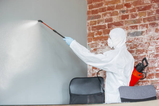 Best Crawl Space Mold Remediation  in Goodhue, MN
