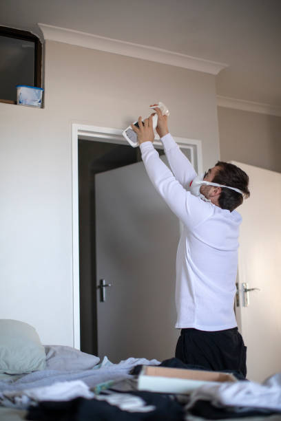 Best Water Damage & Mold Remediation  in Goodhue, MN