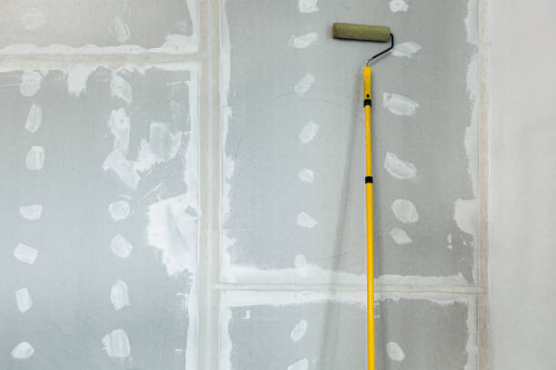 Goodhue, MN Mold Removal Company