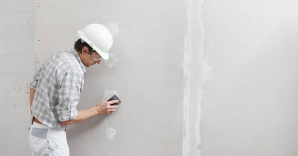 Best Mold Prevention Services  in Goodhue, MN