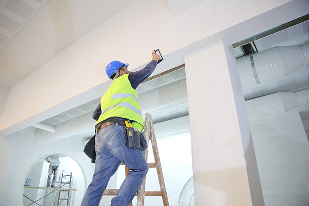 Best Asbestos and Lead Testing During Mold Inspection  in Goodhue, MN